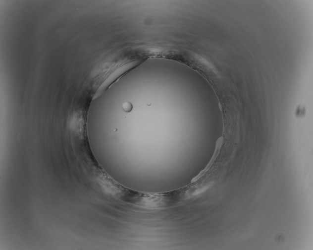 X0000094450720200711151427