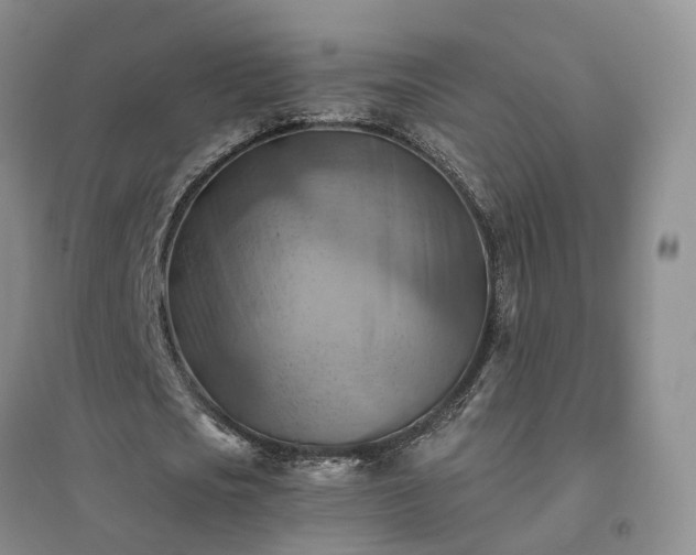 X0000094450721200711151426