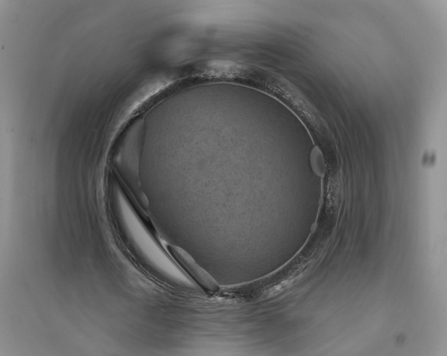X0000094450722200711151426