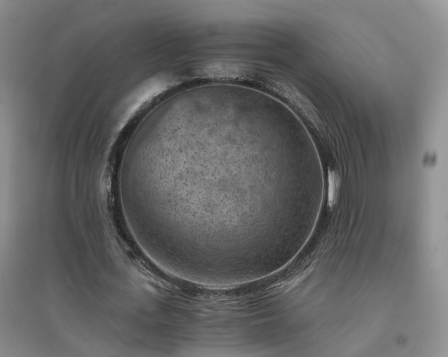 X0000094450723200711151426