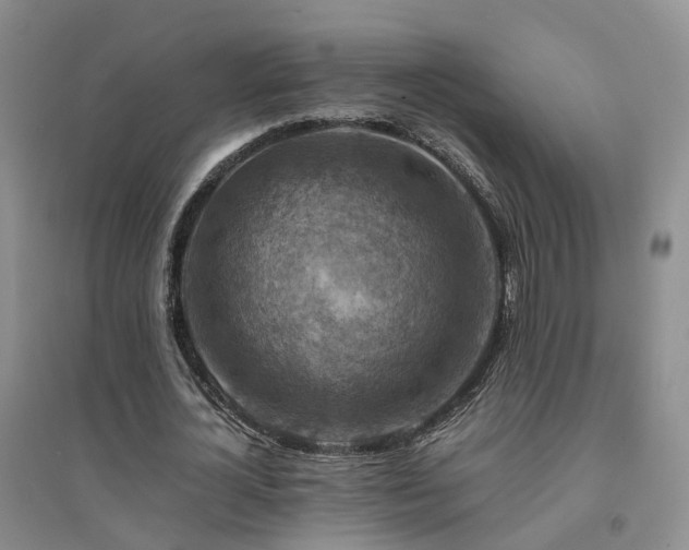 X0000094450724200711151426
