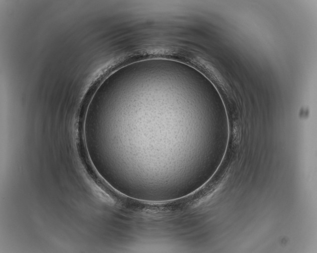 X0000094450725200711151426