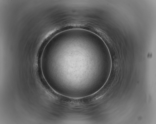 X0000094450727200711151426