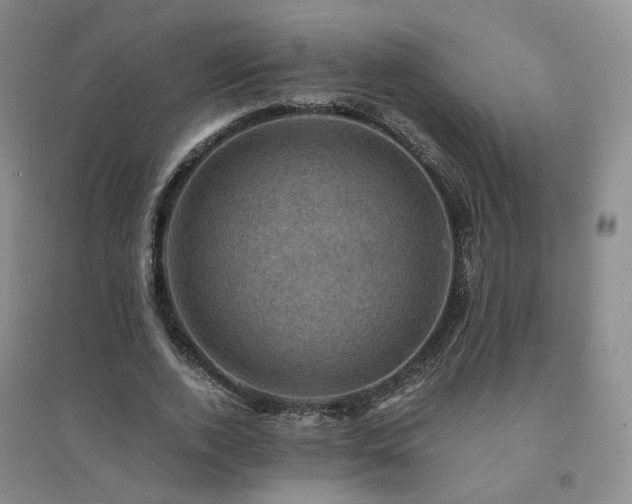 X0000094450728200711151426
