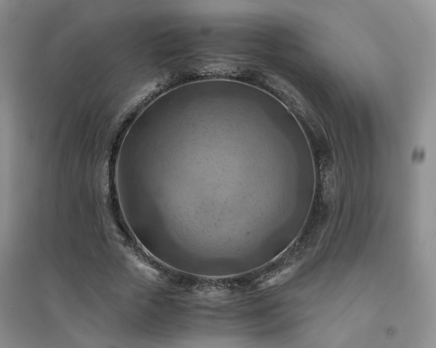 X0000094450729200711151426
