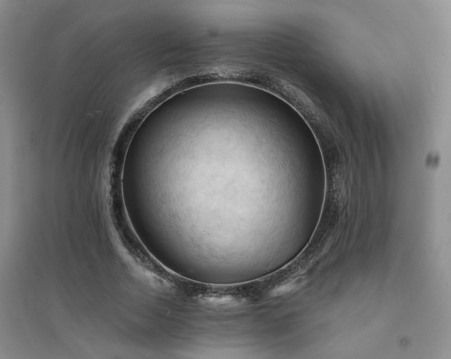 X0000094450730200711151426