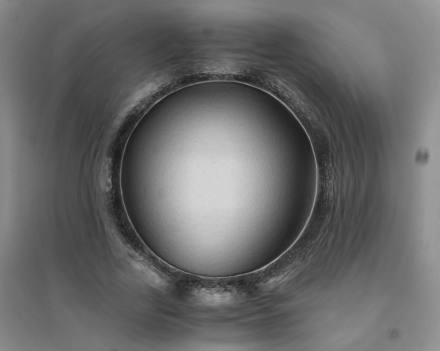 X0000094450731200711151426