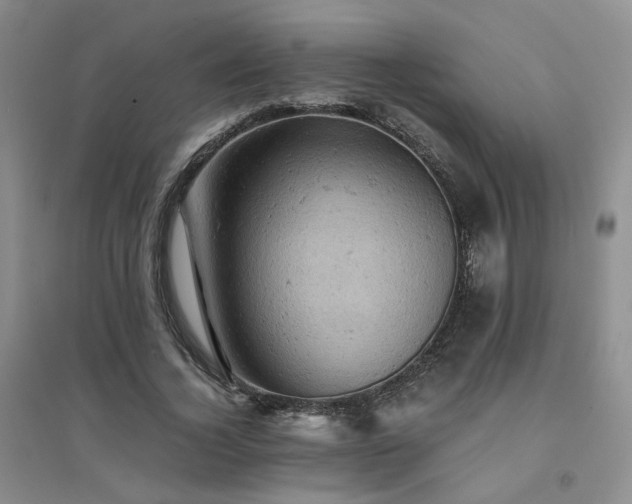 X0000094450732200711151426