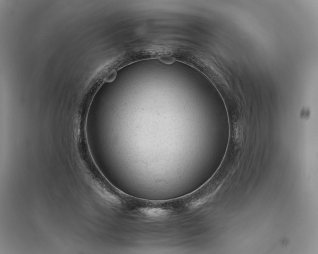 X0000094450733200711151426