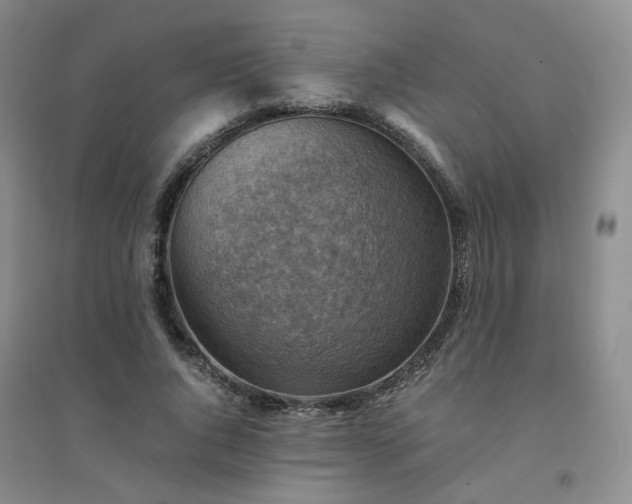 X0000094450736200711151427