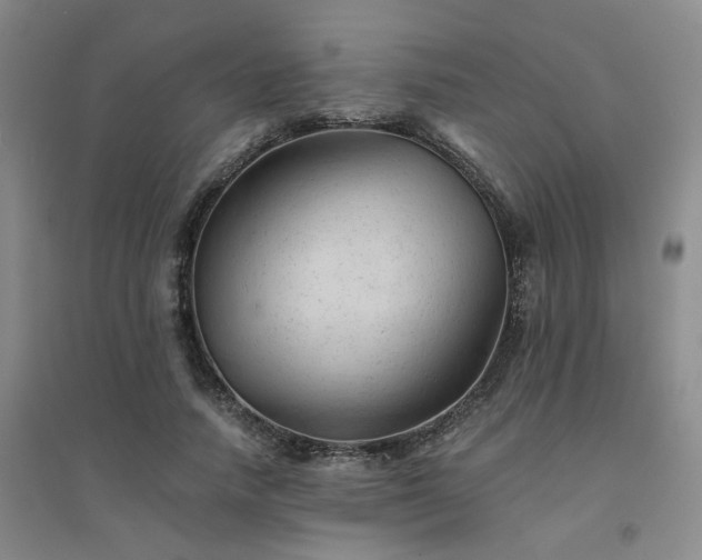X0000094450738200711151427