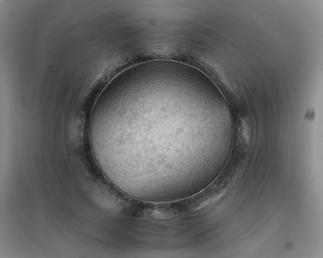 X0000094450739200711151427