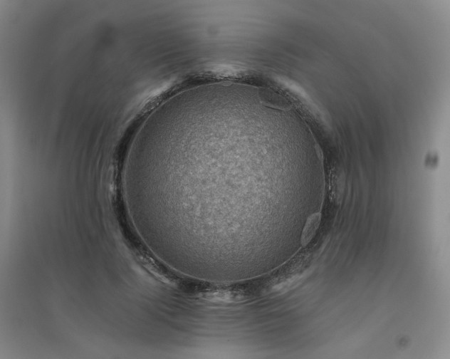 X0000094450740200711151427