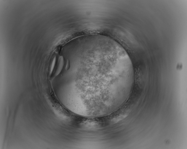 X0000094450742200711151427