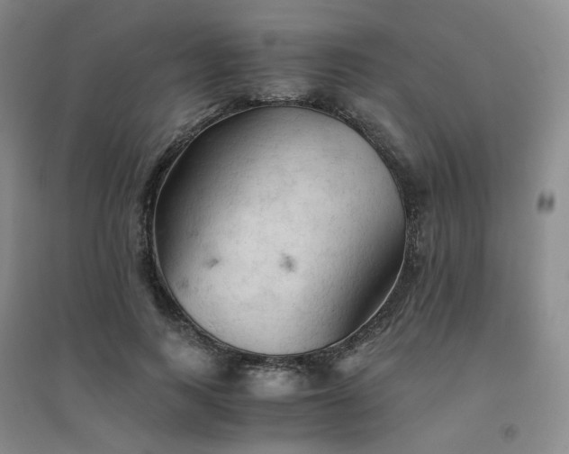 X0000094450743200711151427