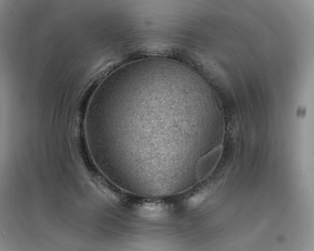 X0000094450744200711151427
