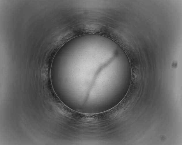 X0000094450745200711151427