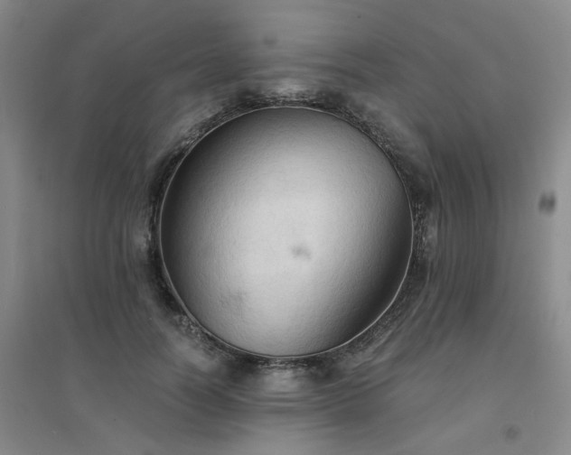 X0000094450746200711151427