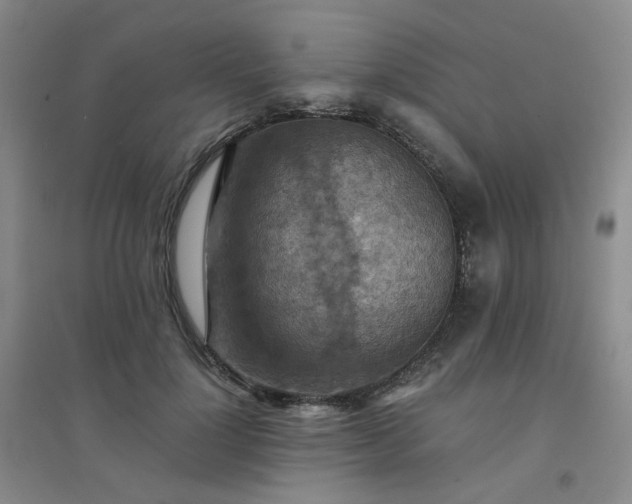 X0000094450748200711151427
