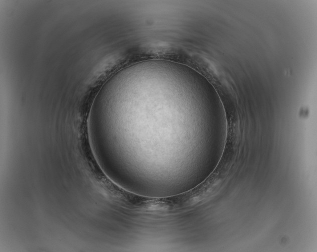 X0000094450750200711151427