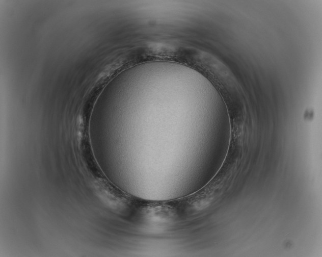 X0000094450752200711151427