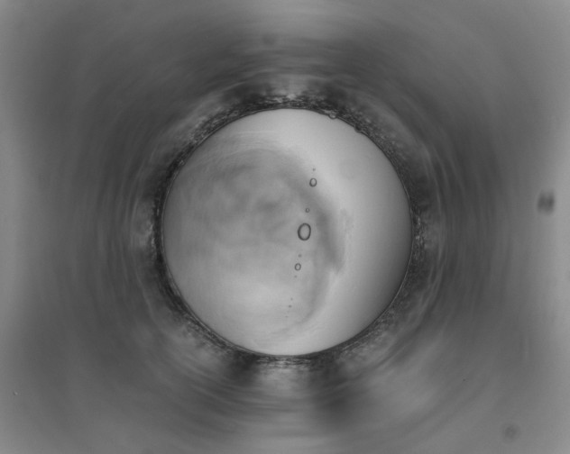 X0000094450754200711151427