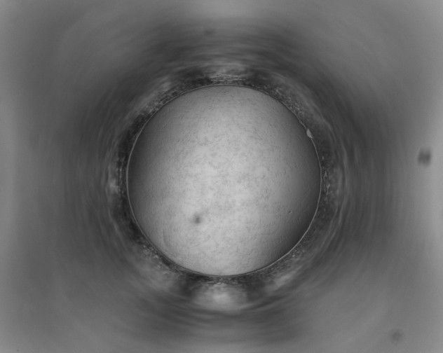 X0000094450755200711151427
