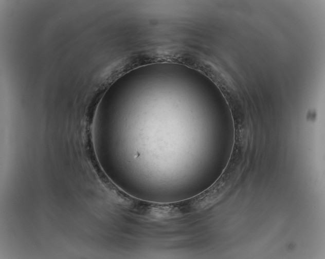 X0000094450757200711151427