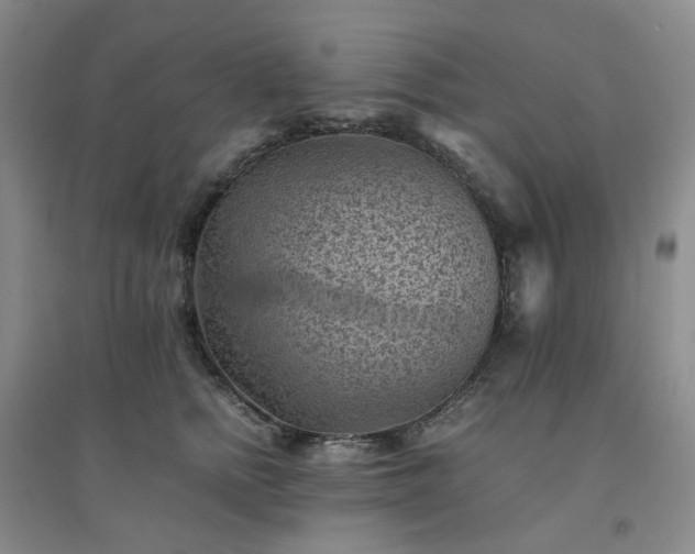 X0000094450758200711151427