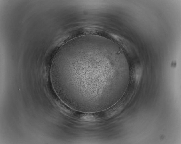 X0000094450759200711151427