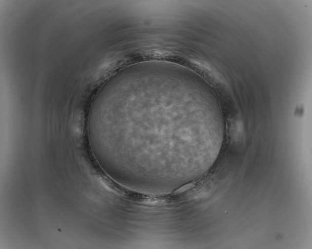 X0000094450760200711151427