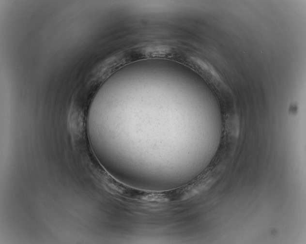 X0000094450761200711151427