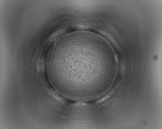 X0000094450762200711151427