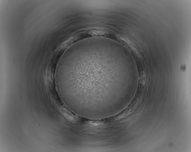 X0000094450763200711151427