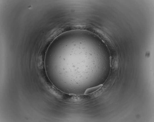 X0000094450764200711151427