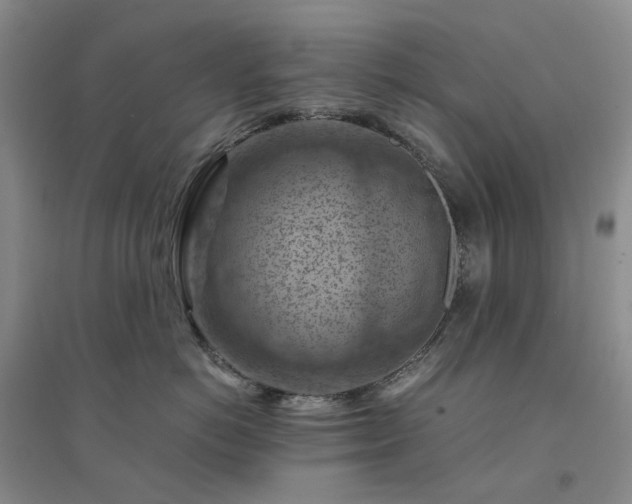 X0000094450766200711151427