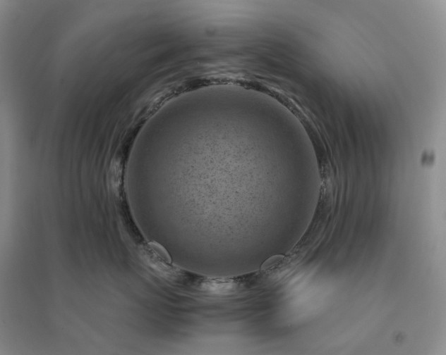 X0000094450767200711151427