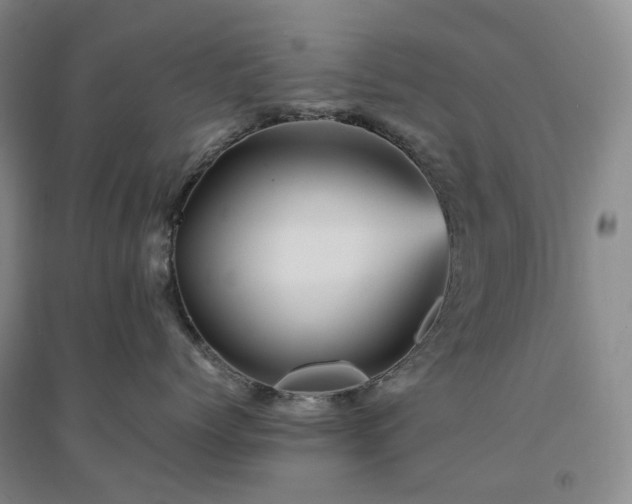 X0000094450768200711151427