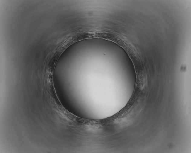 X0000094450770200711151426