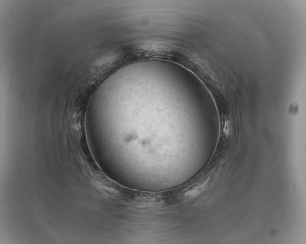 X0000094450771200711151426
