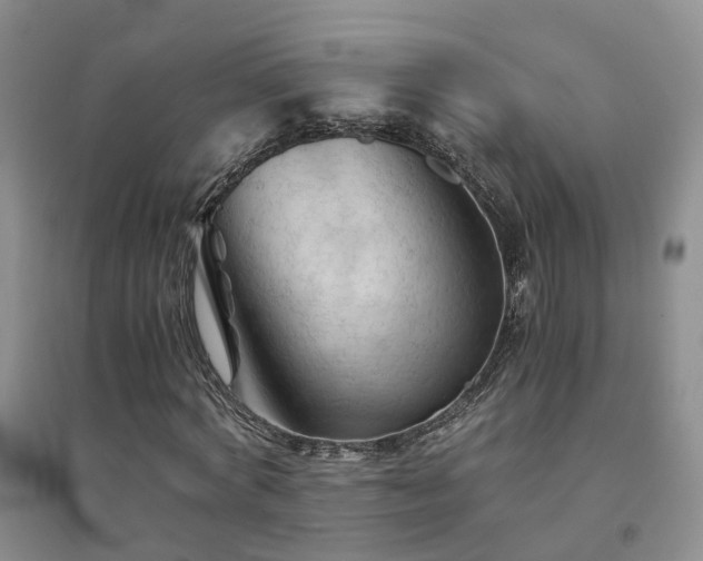 X0000094450772200711151426