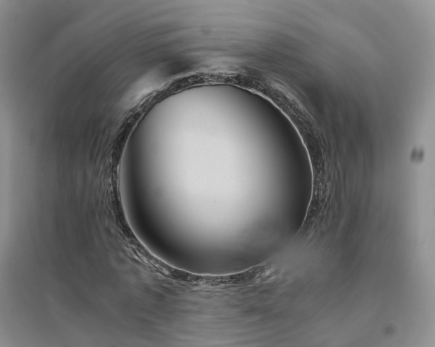 X0000094450773200711151426