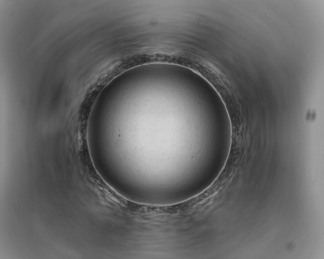 X0000094450774200711151426