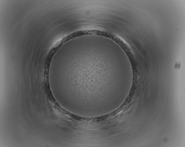 X0000094450775200711151426