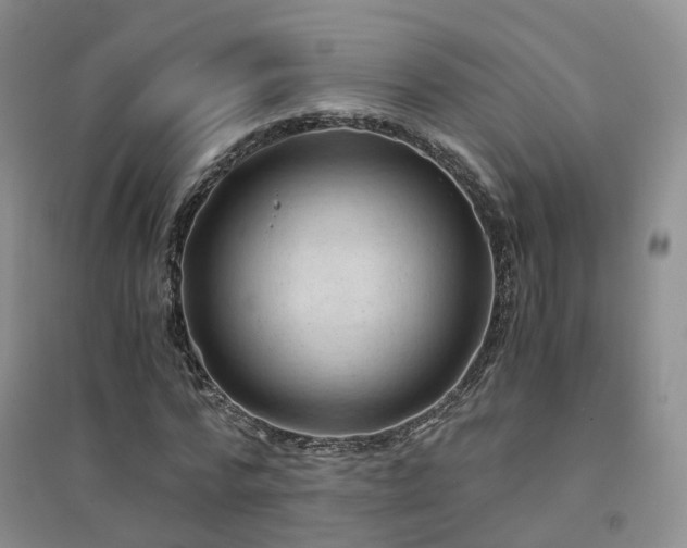 X0000094450776200711151426