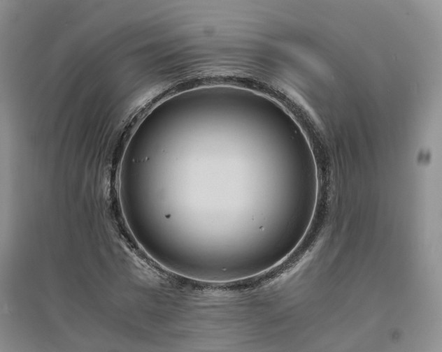 X0000094450777200711151426