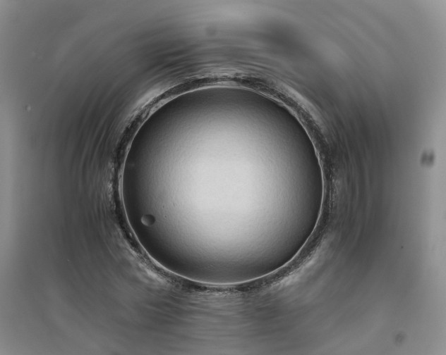 X0000094450778200711151426