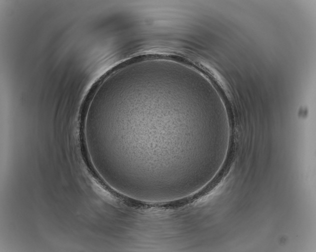 X0000094450779200711151426