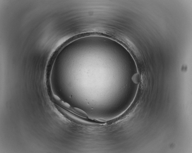 X0000094450780200711151426