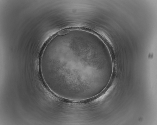 X0000094450781200711151426
